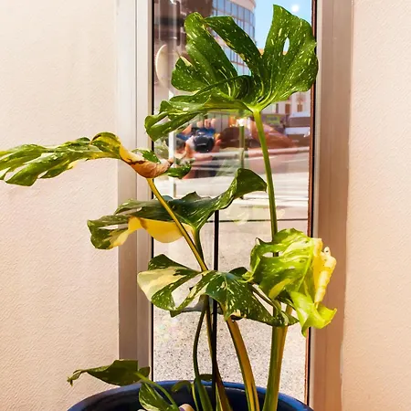 Kennedy Отель 2*